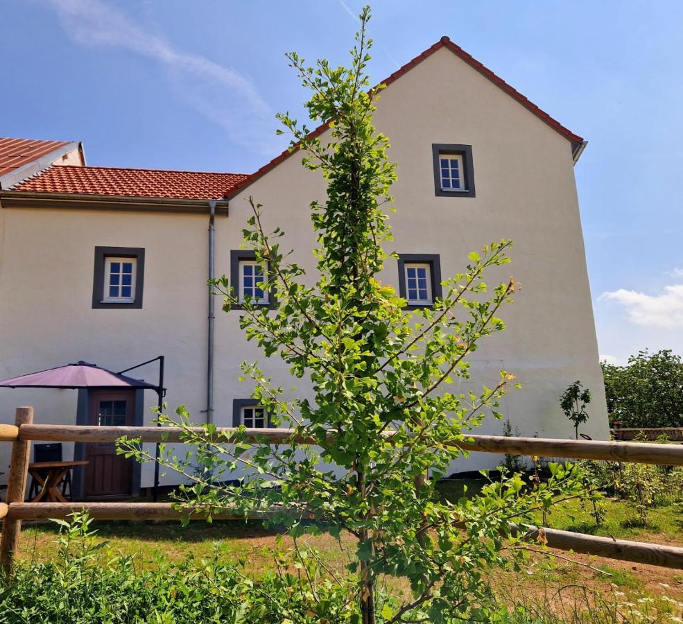 Ferienhaus "Entenhaus" Im Gutshaus De La Fontaine Feilsdorf Exterior photo